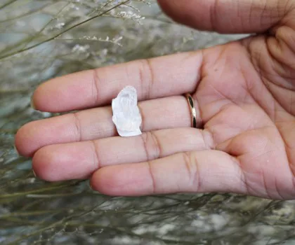 Mặt rồng mắt mèo lớn FS6846